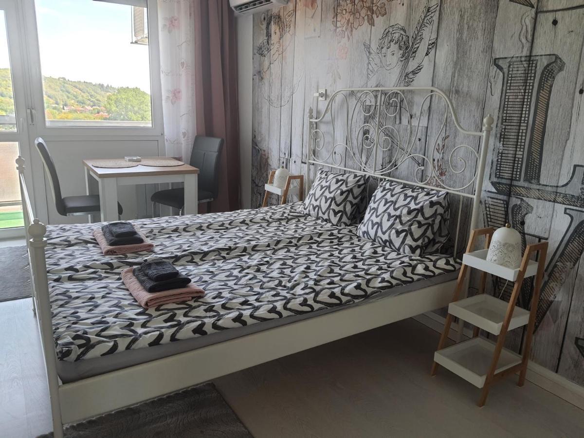 Hegyalja Apartman 米什科尔茨 外观 照片