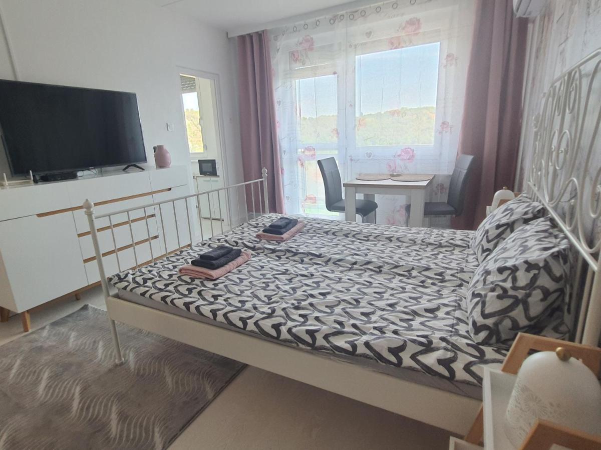 Hegyalja Apartman 米什科尔茨 外观 照片